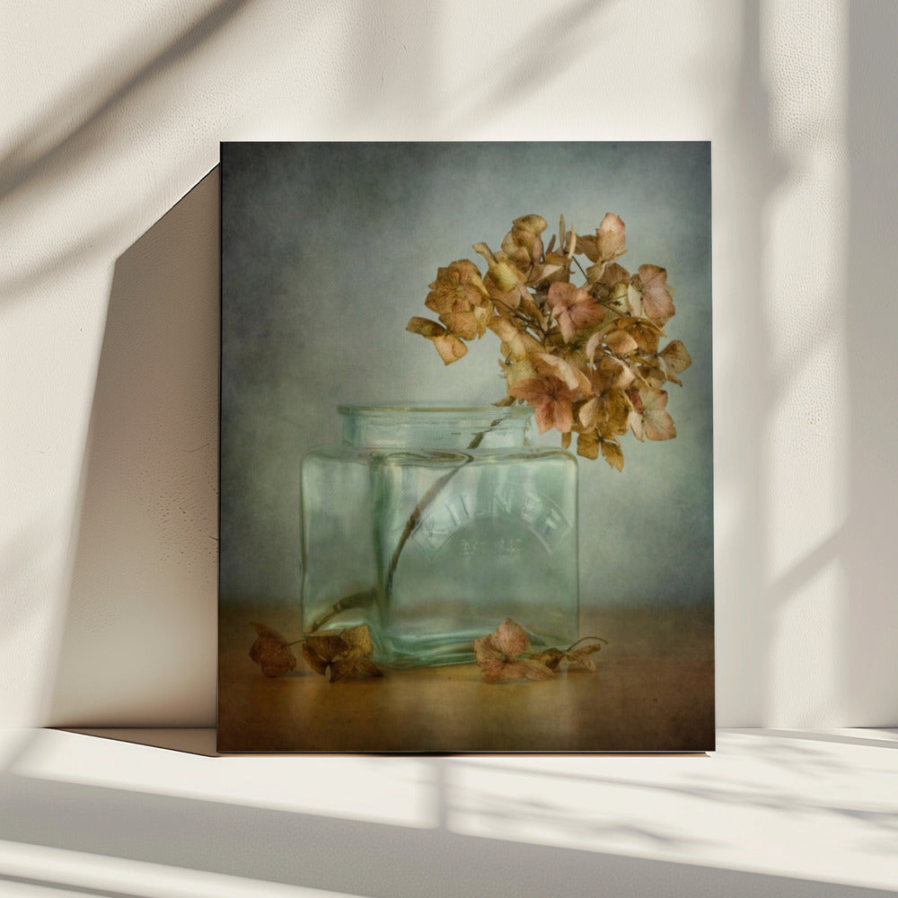 Hydrangea | Canvas