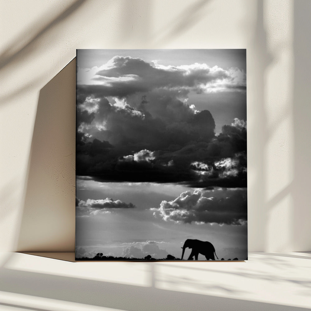 He walks under an African Sky | Canvas
