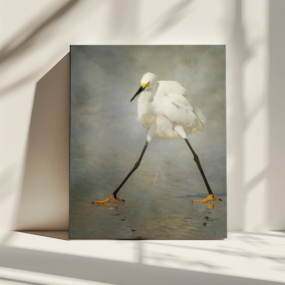 The Rock Star | Canvas