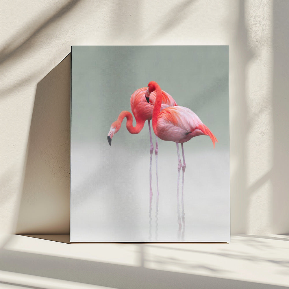 just we two ... | Canvas