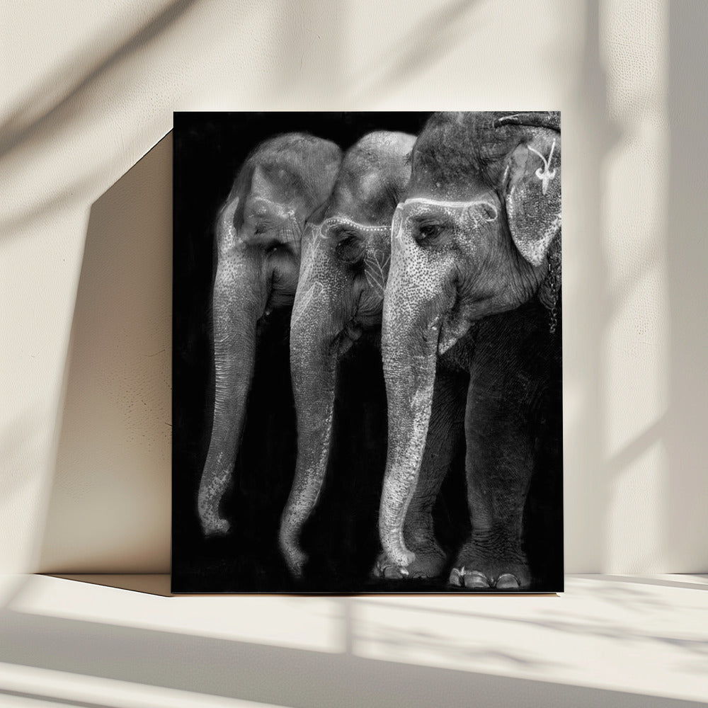 Nature\'s great masterpiece, an elephant; the only harmless great thing ... | Canvas