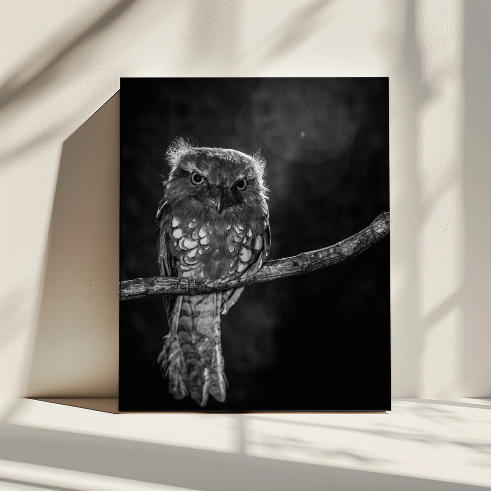 Alone in the night | Canvas