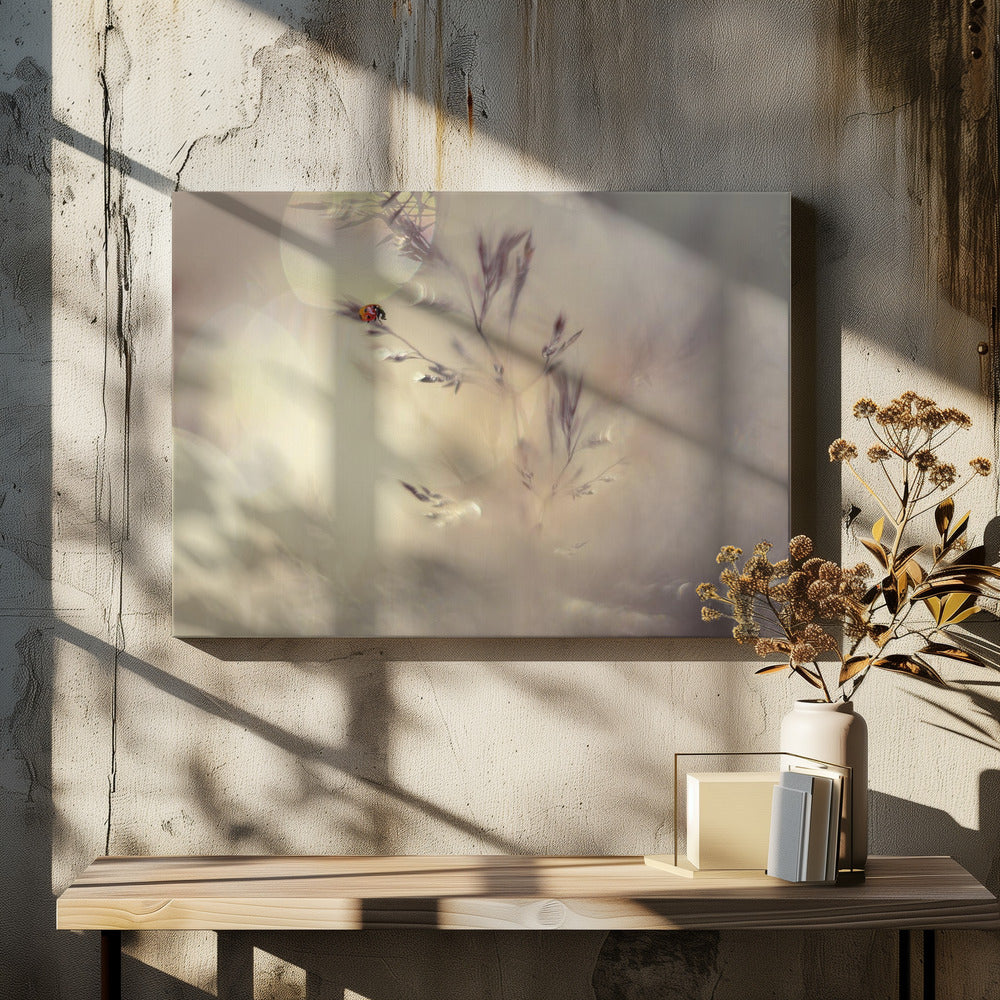 Little lady | Canvas