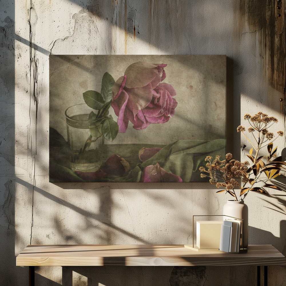 Tear of Rose | Canvas