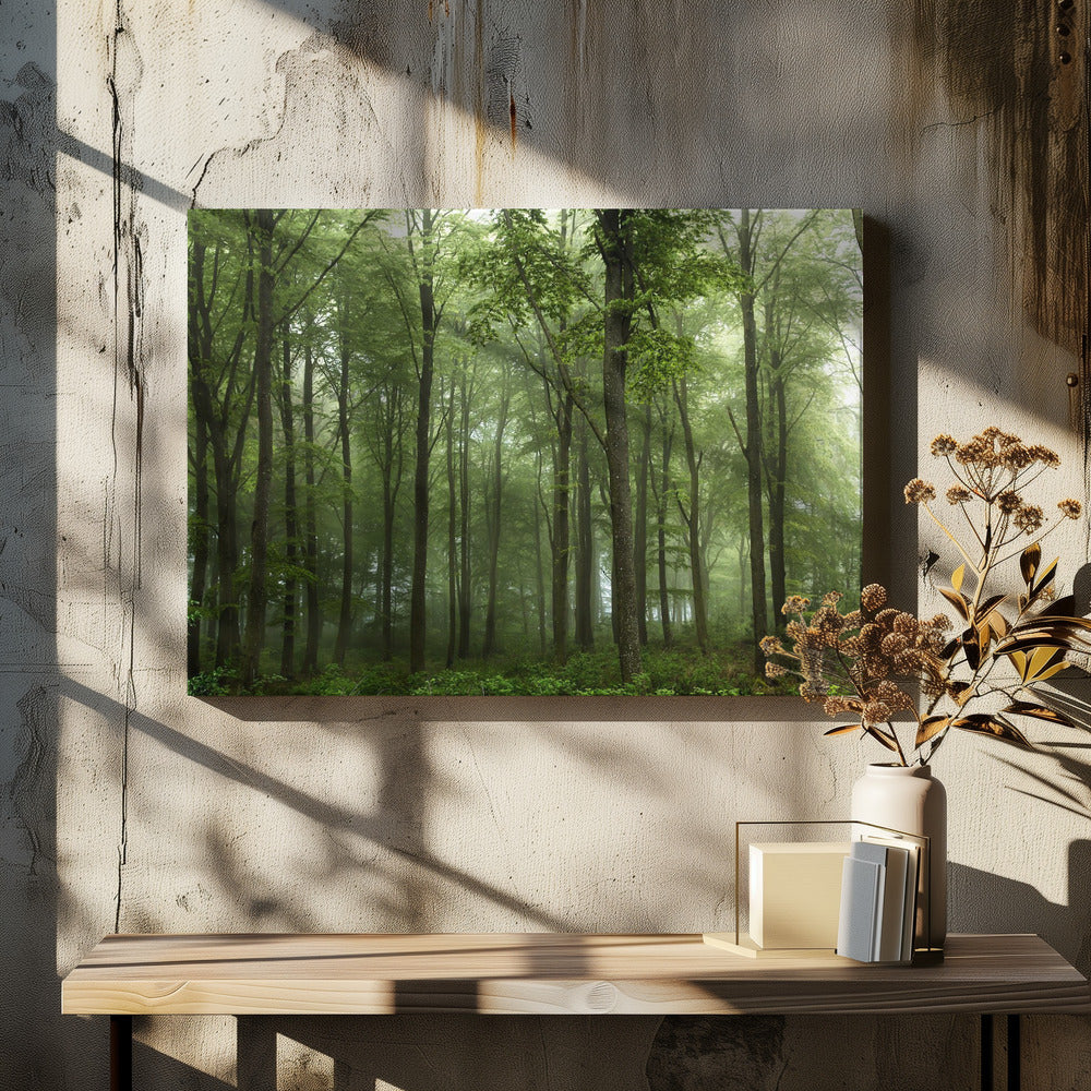 Forest... | Canvas