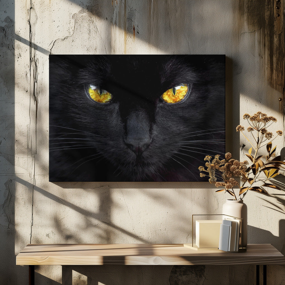 The hypnotist of the night | Canvas