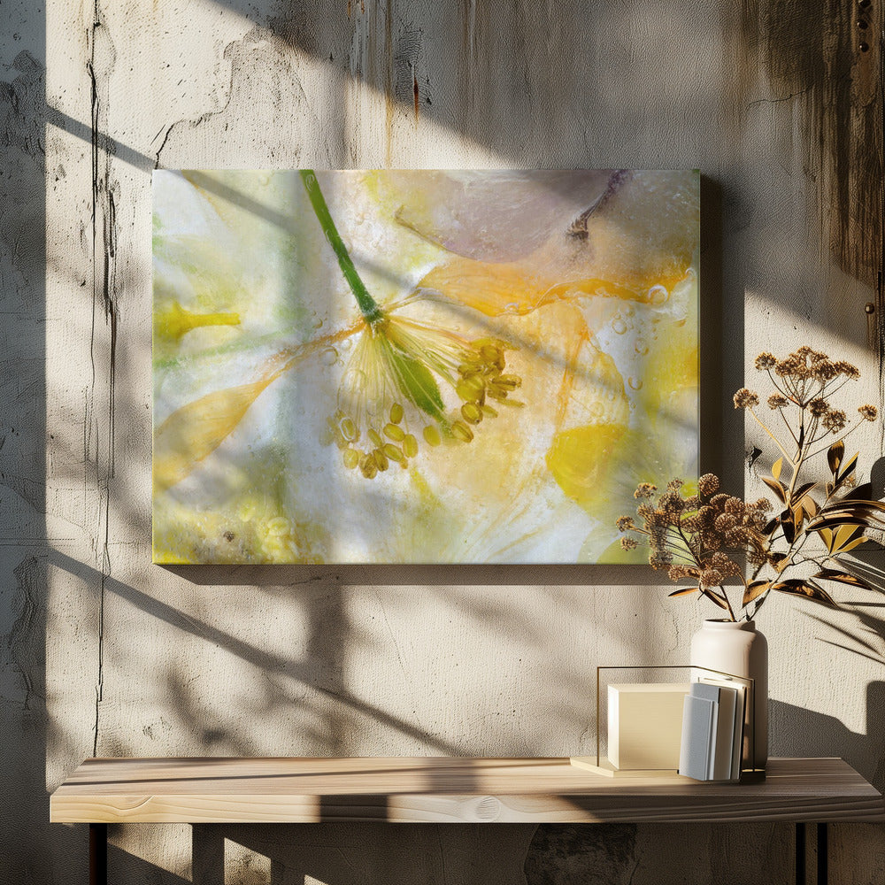 Papaver Ice | Canvas