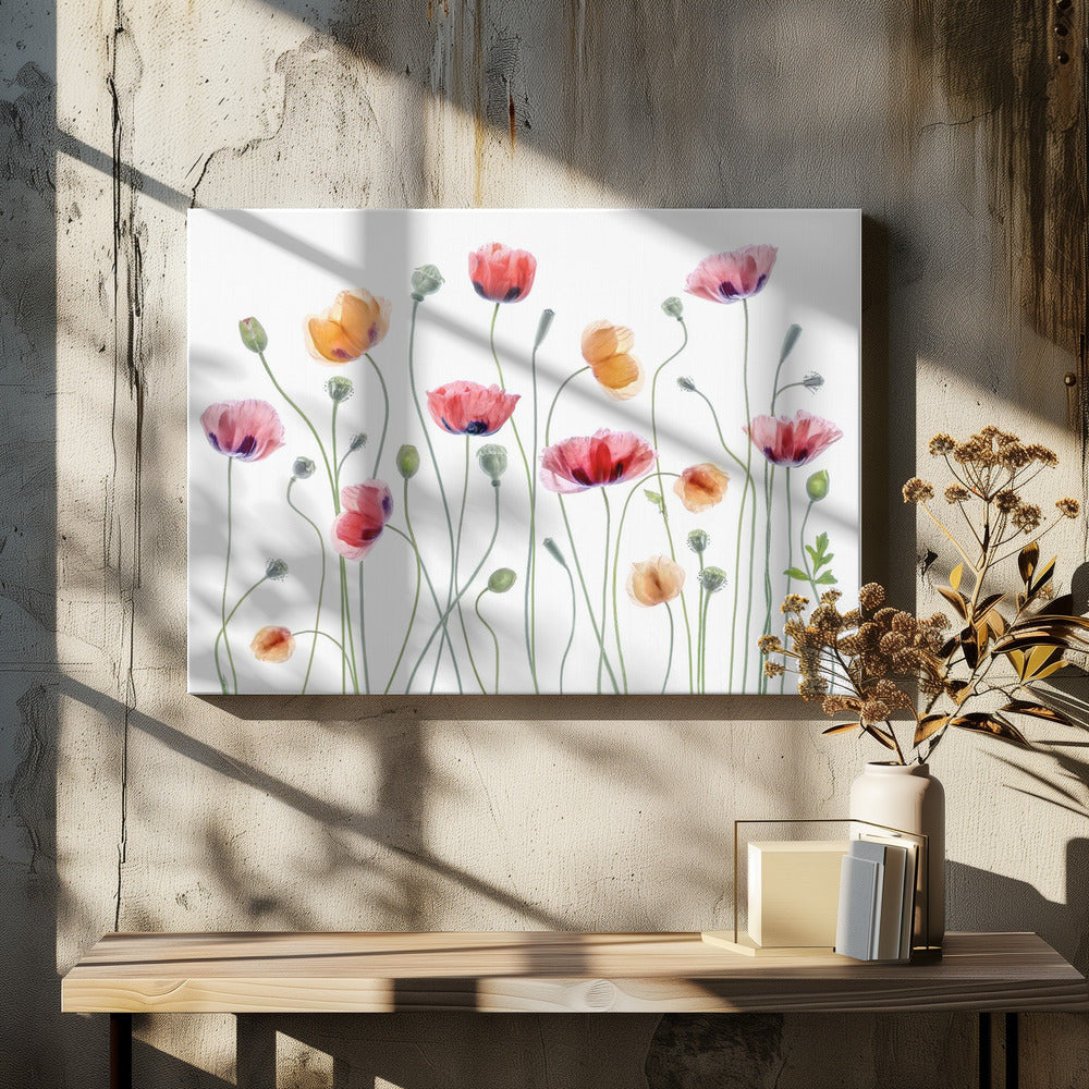 Papaver party | Canvas