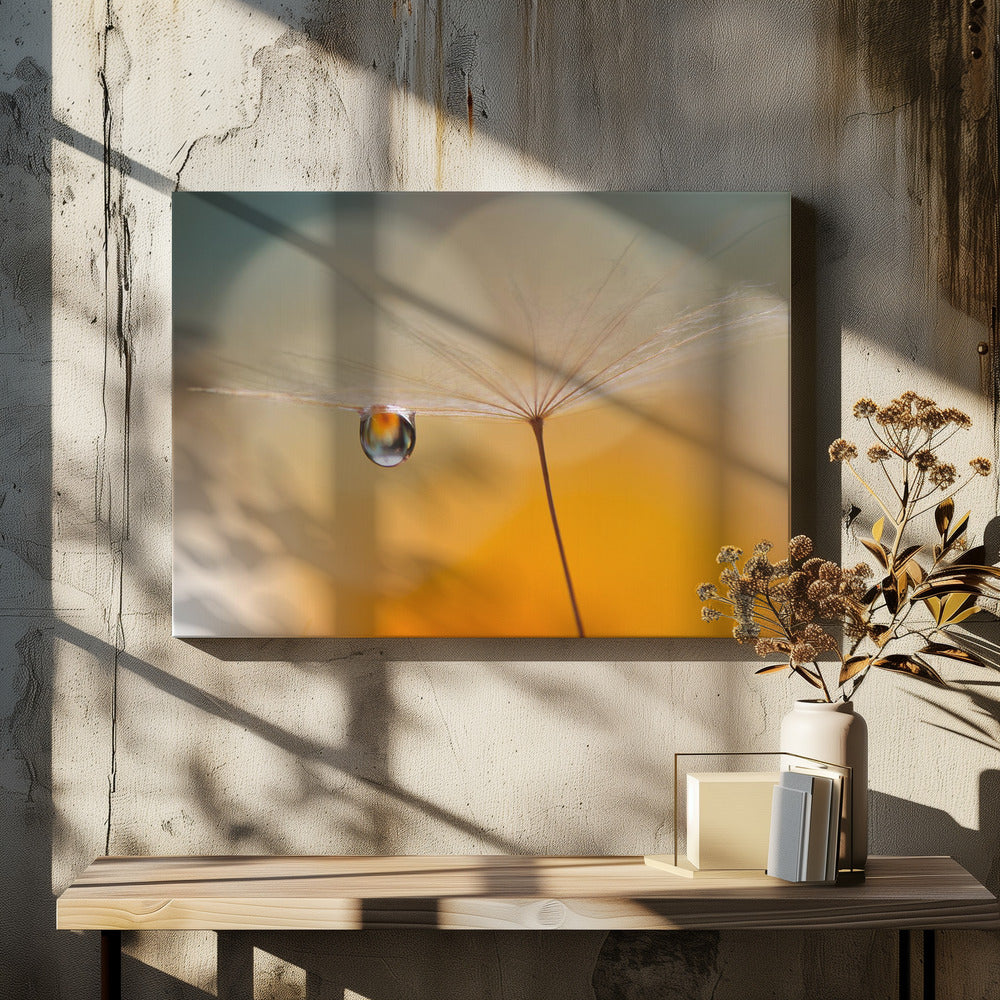 Little Night Music... | Canvas