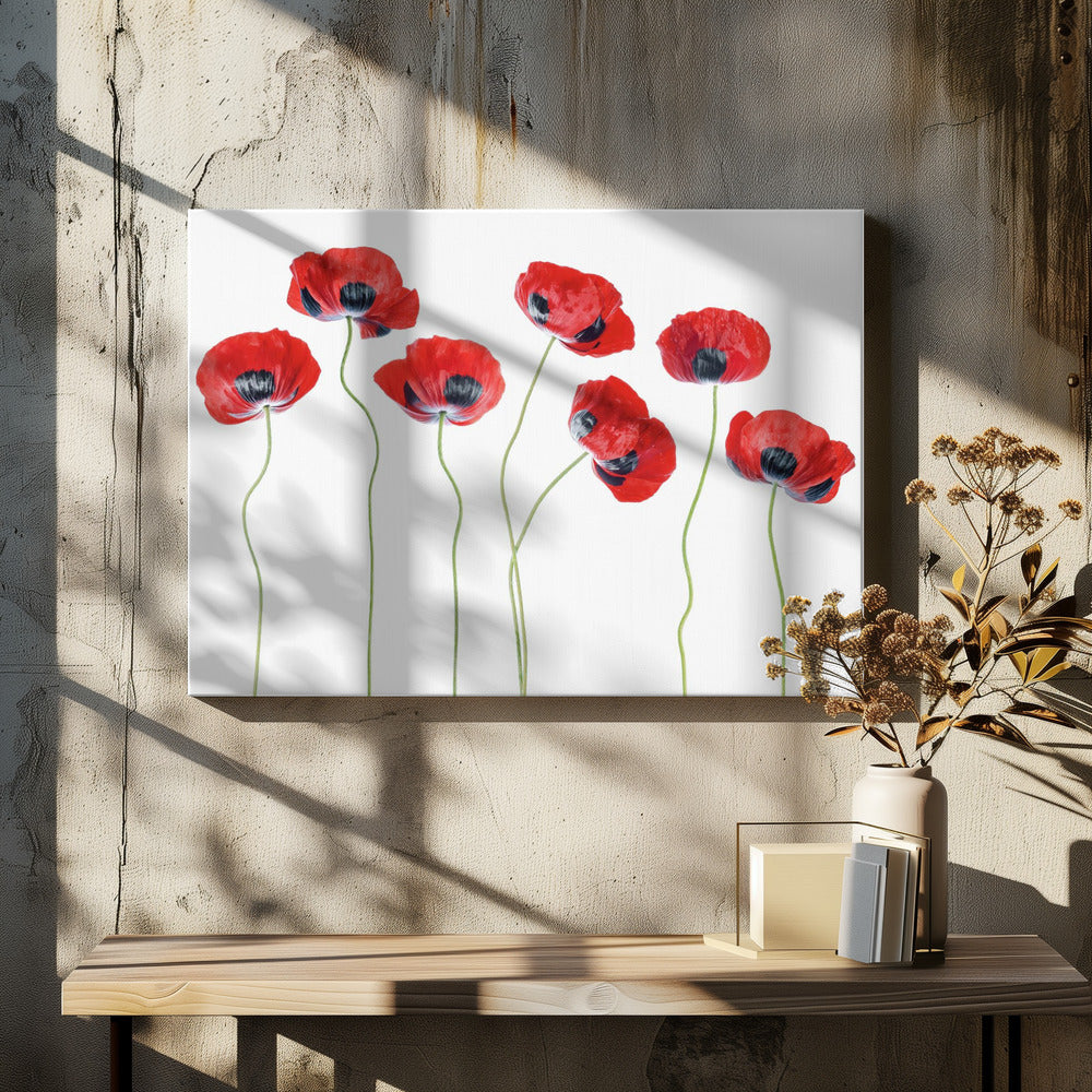 Ladybird Poppies | Canvas