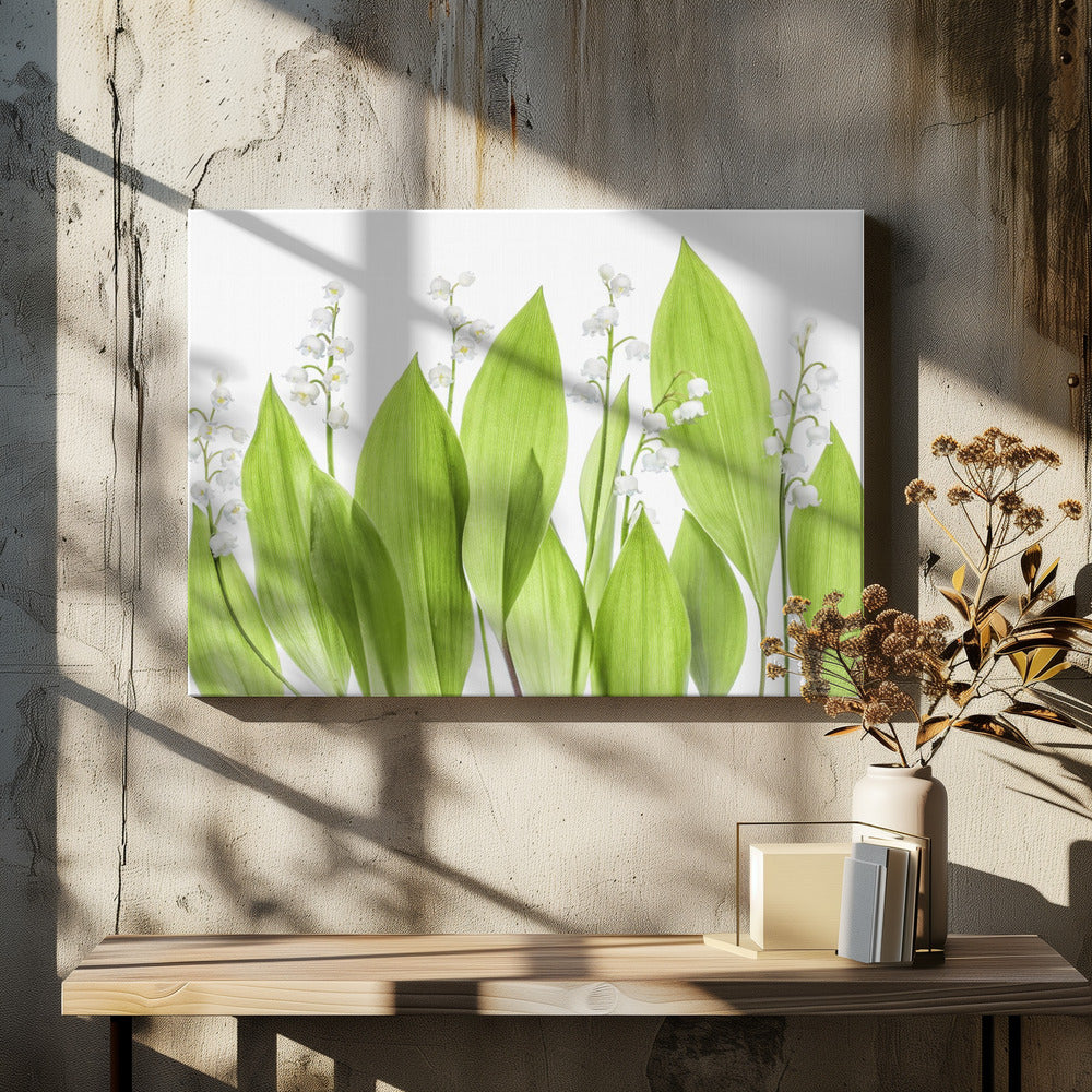 Lily of the valley | Canvas