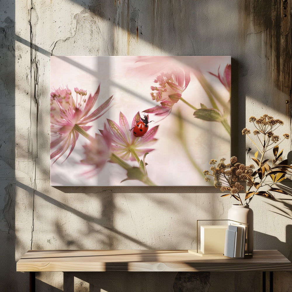 Ladybird and pink flowers | Canvas