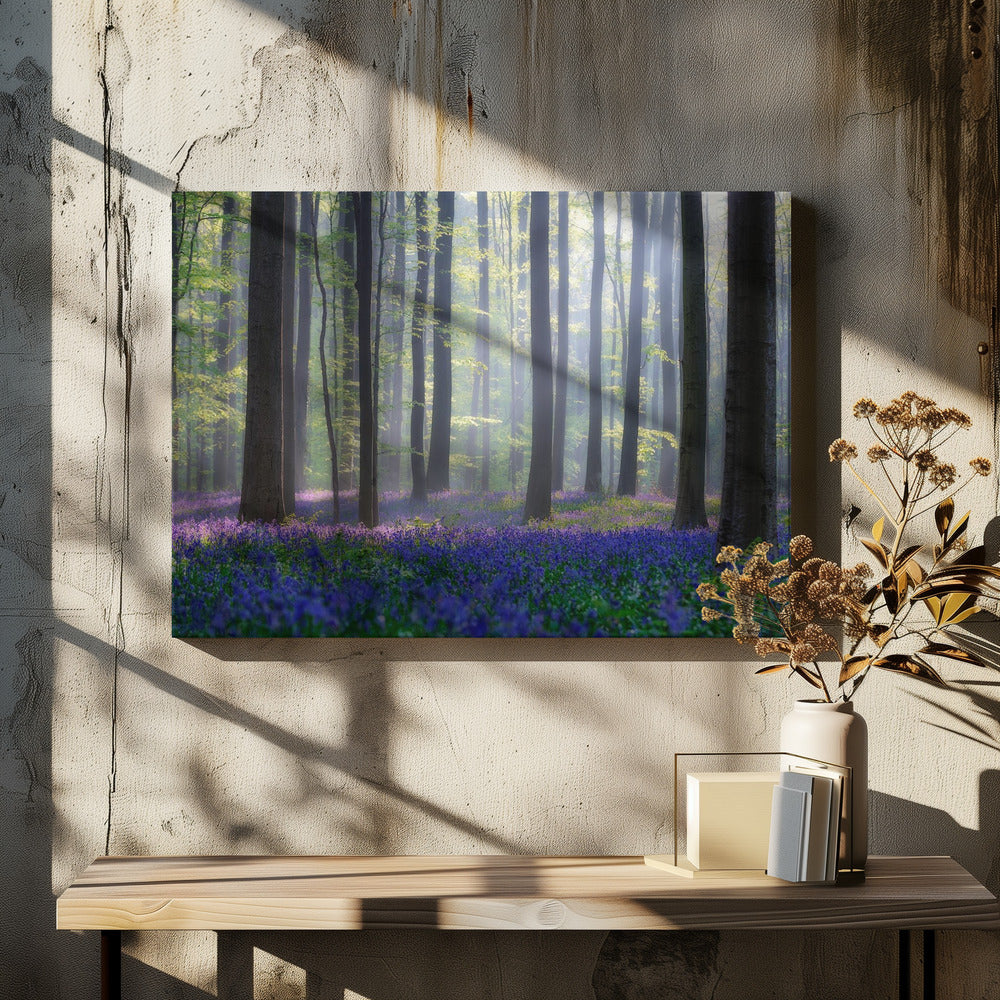 Bluebells | Canvas