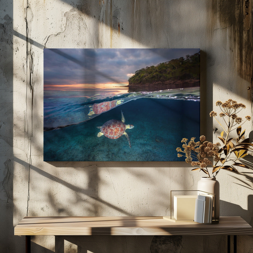 Green turtle with sunset | Canvas