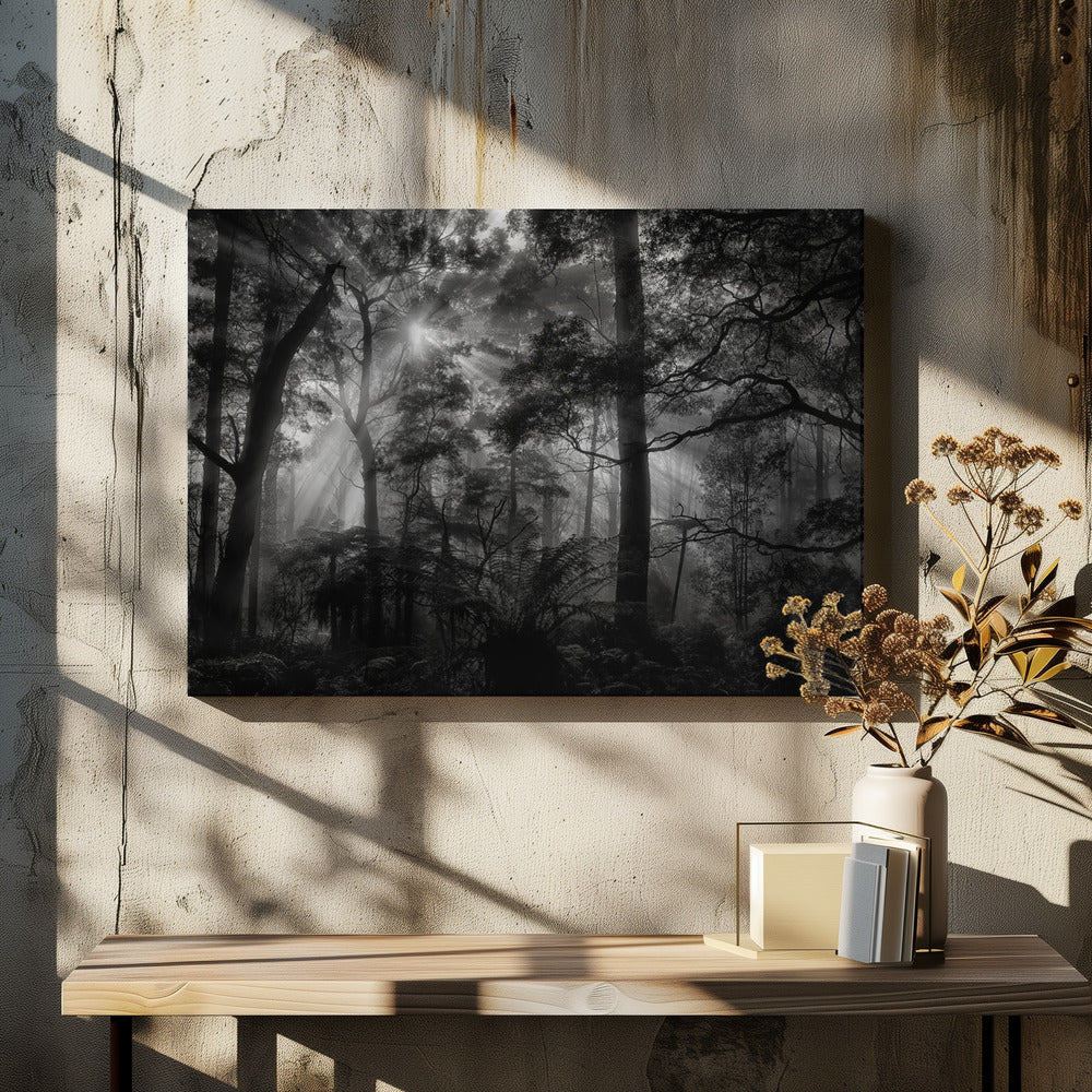 Primary forest | Canvas
