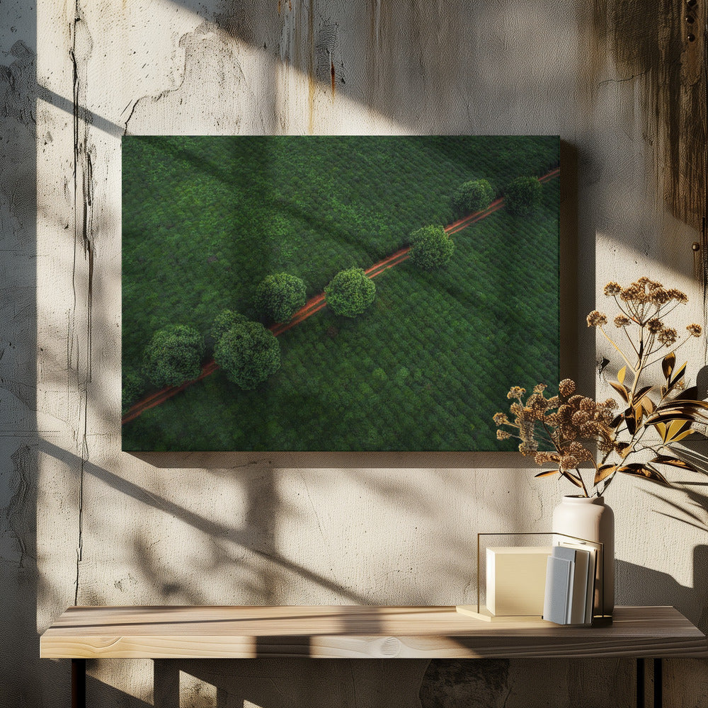 Green Pearls | Canvas