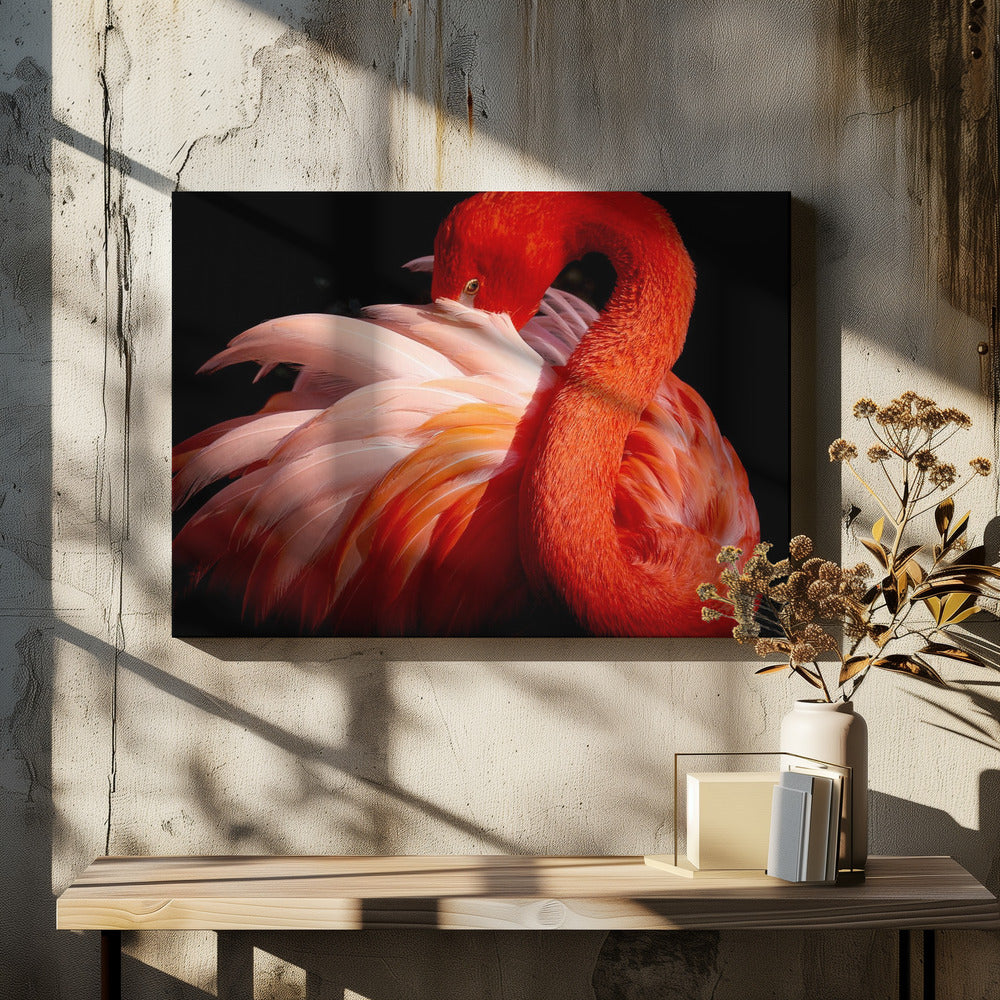 flamingo | Canvas