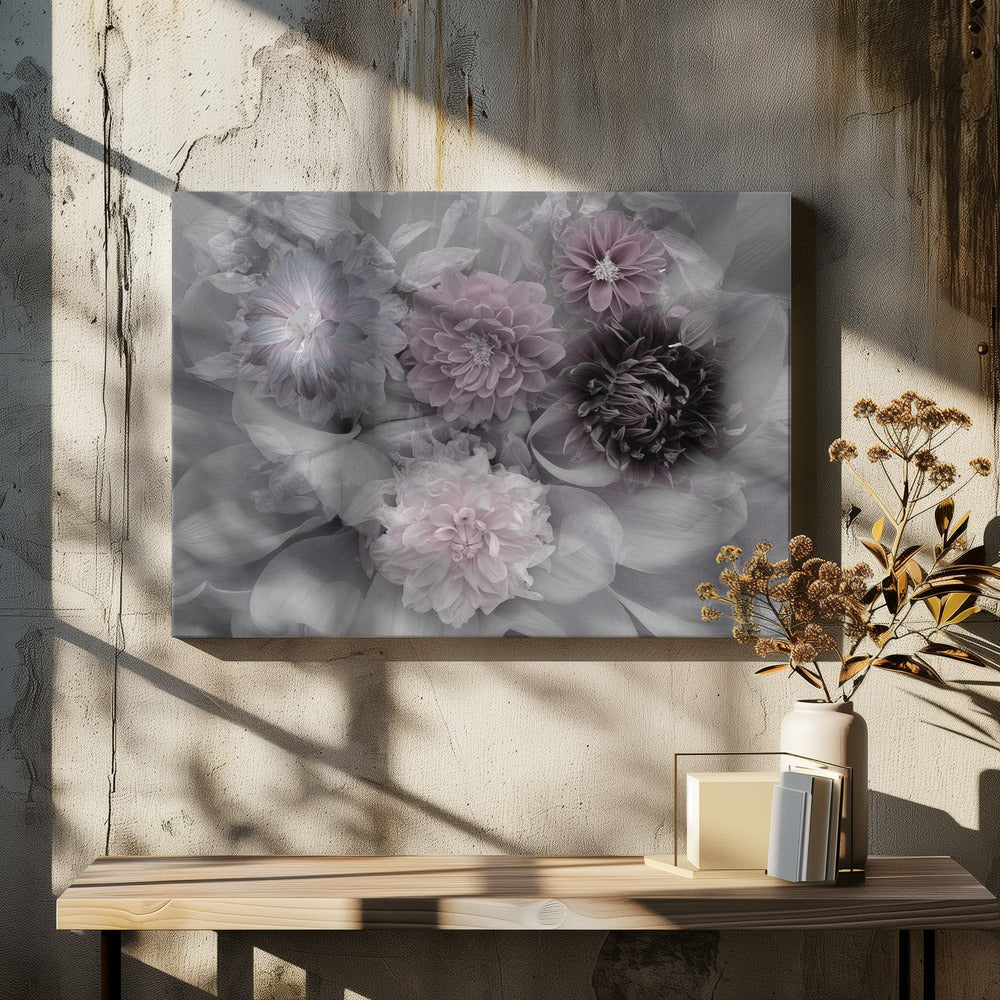 Dahlia dream | Canvas