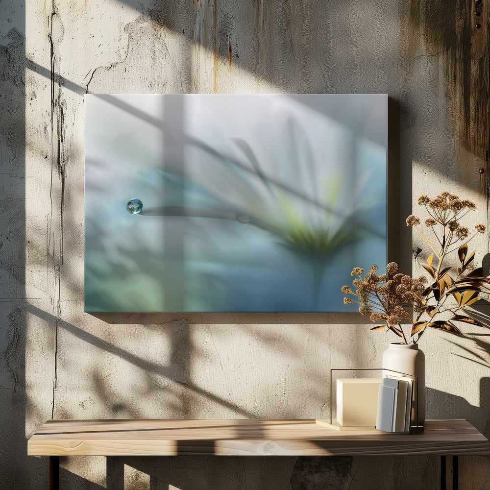 Fields of Hope.. | Canvas