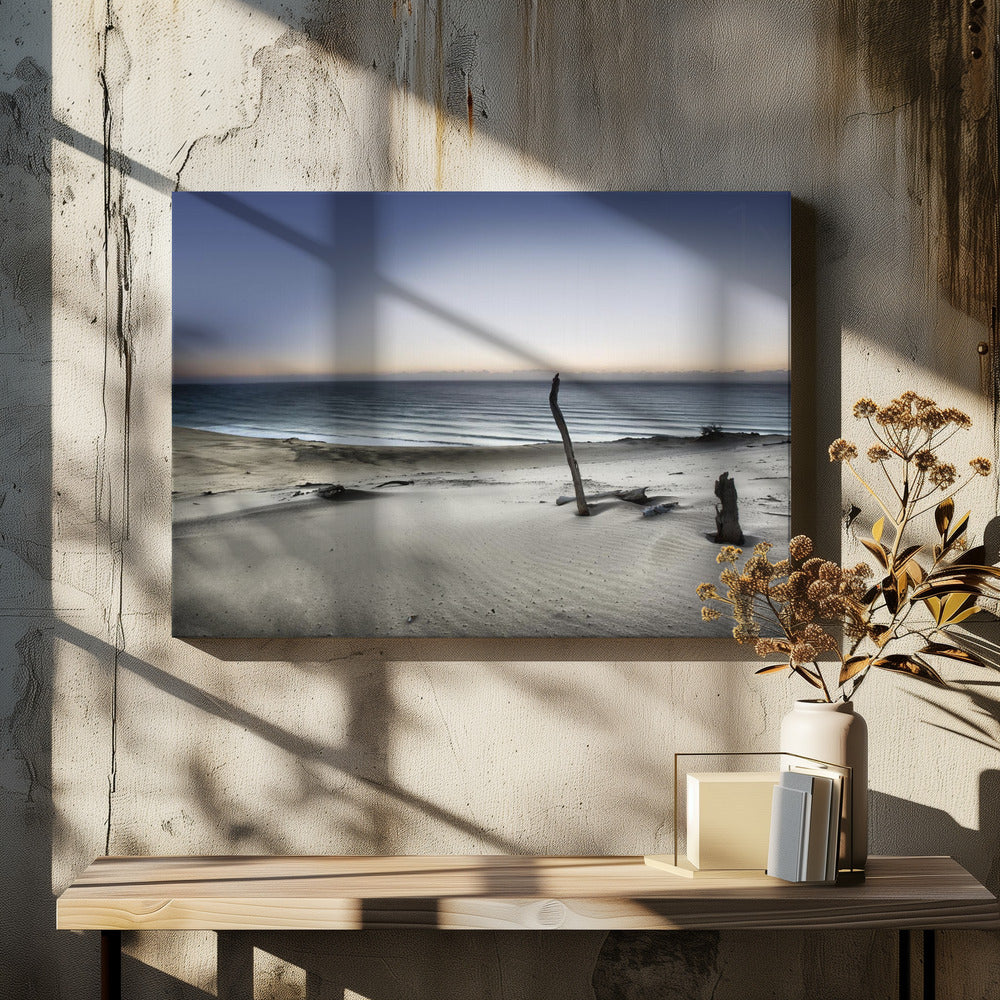 Reach for the sun | Canvas