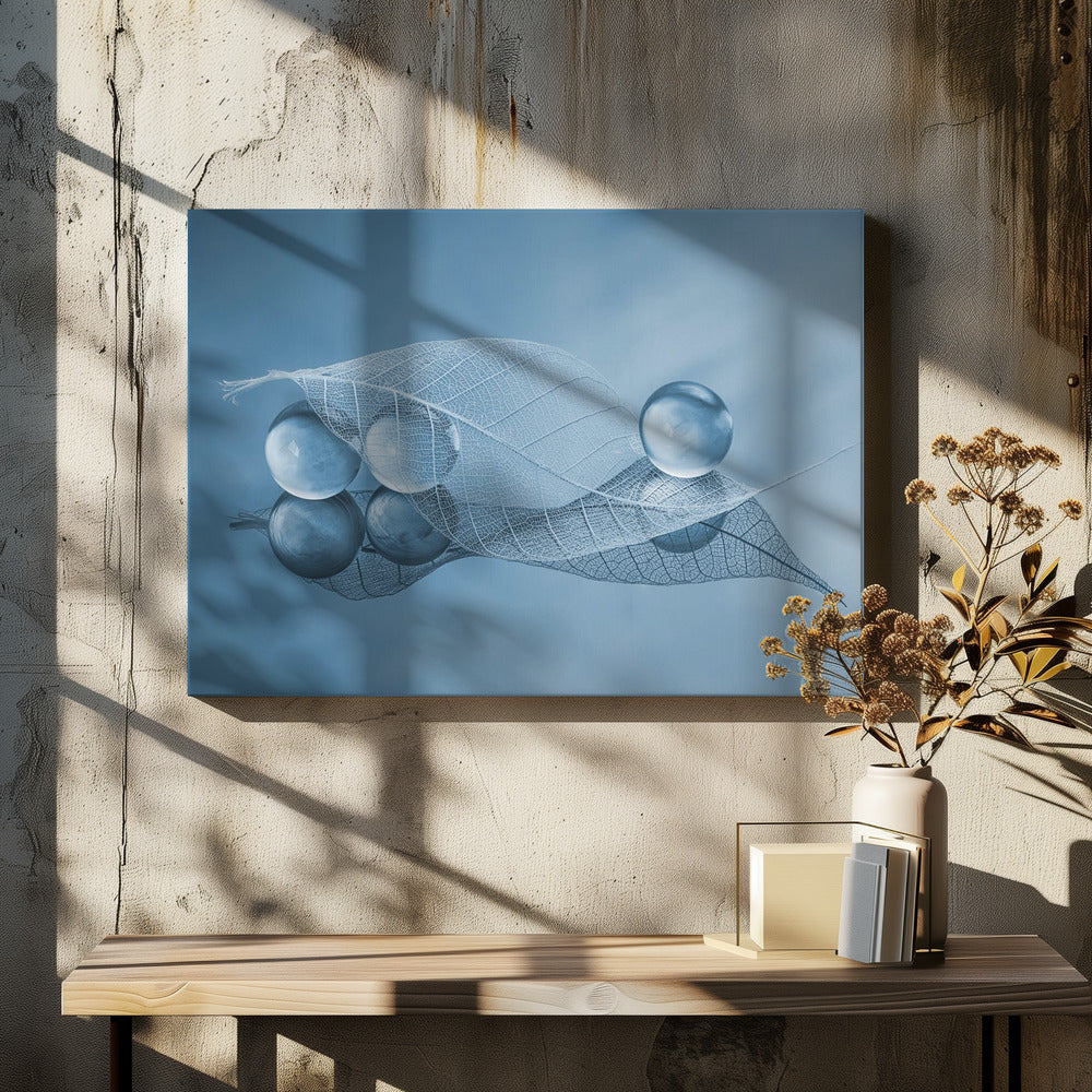 Dry leaf and Bubbles | Canvas