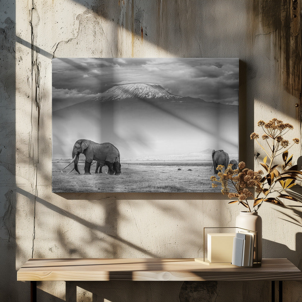 The land of giants | Canvas