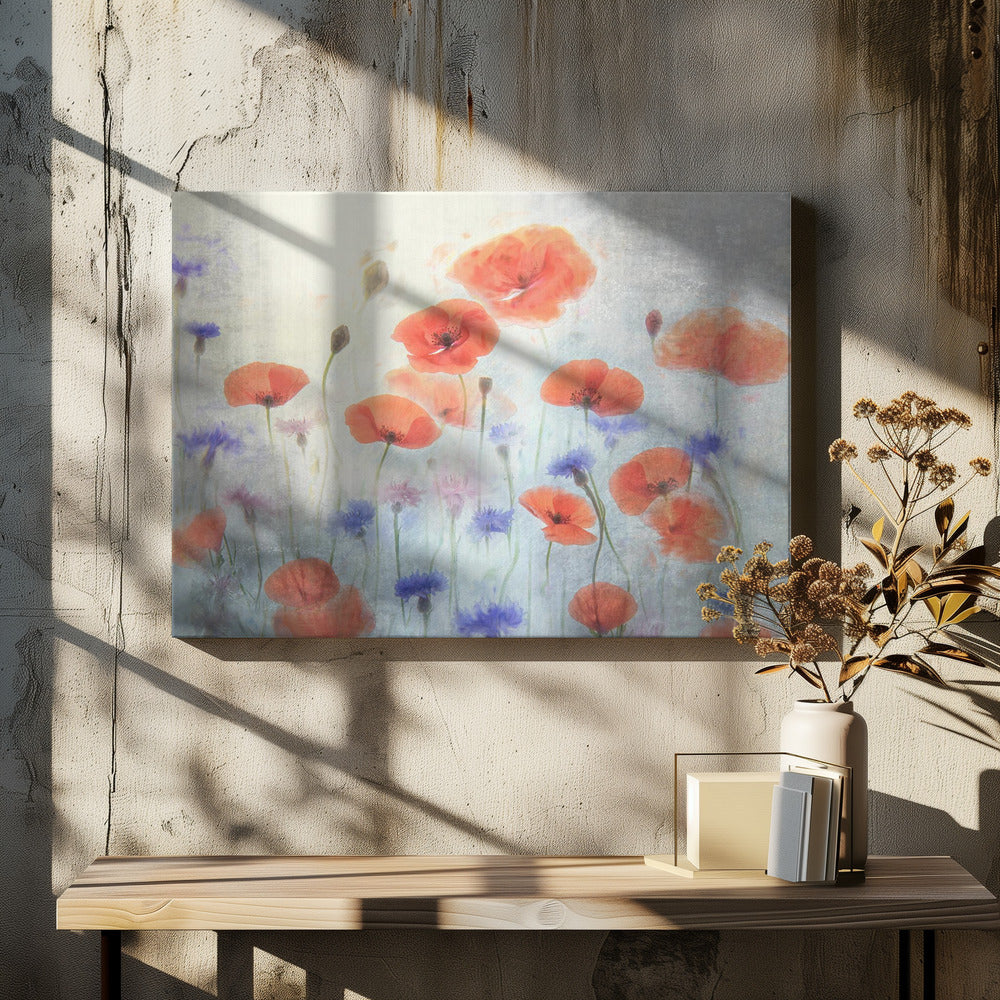 Poppy | Canvas