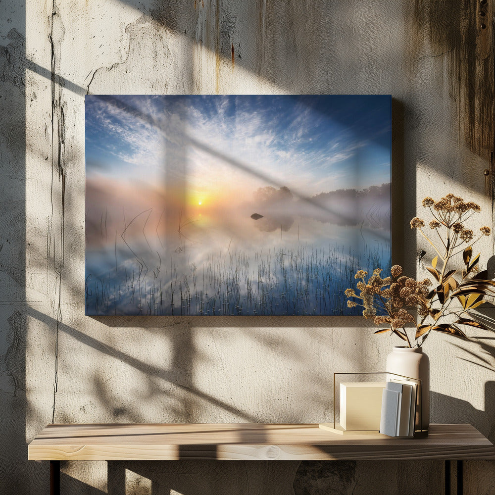 Reflection | Canvas