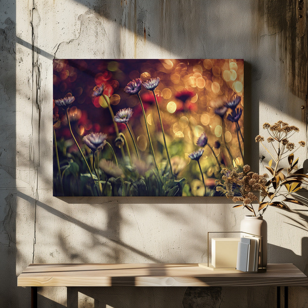 Untitled | Canvas