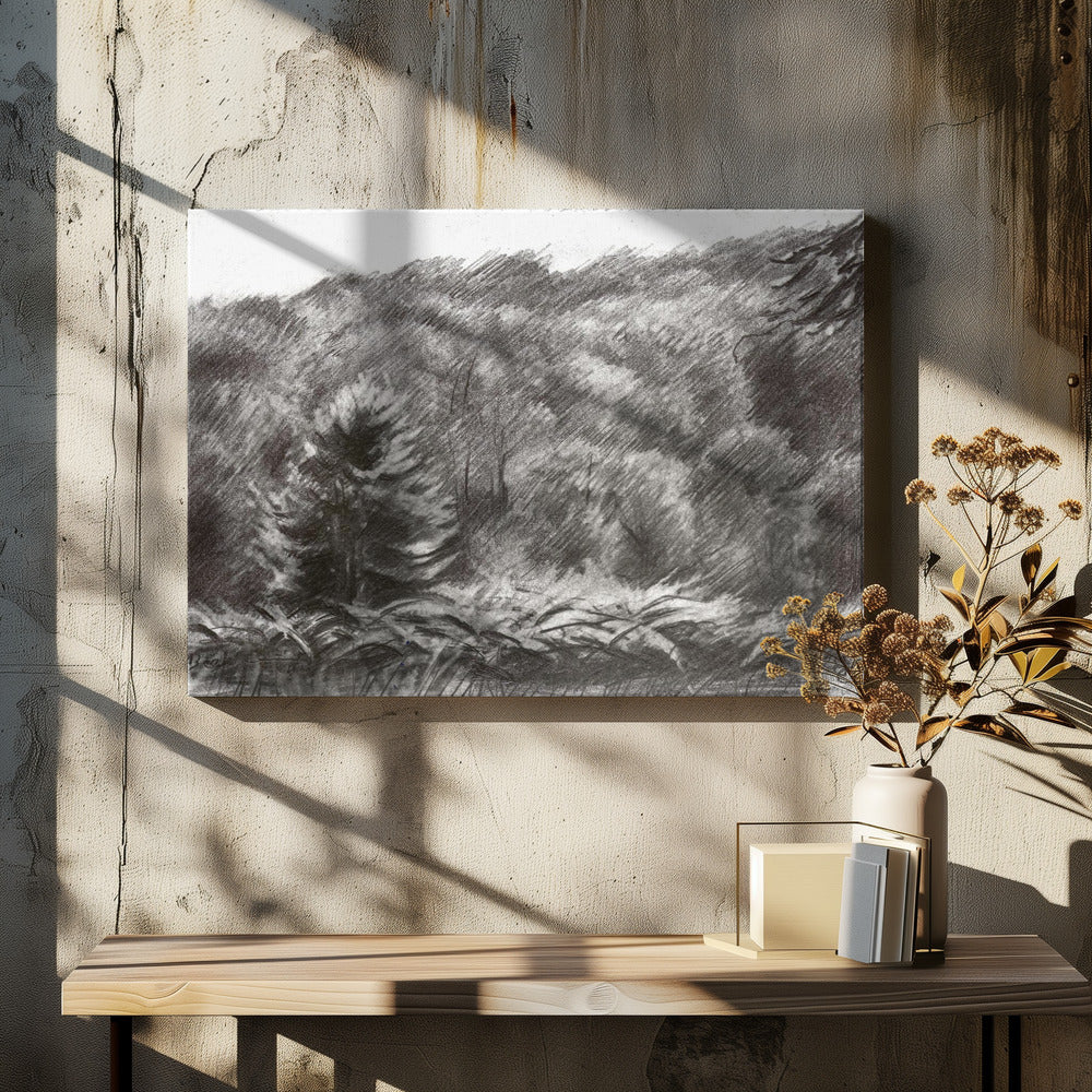 Beek - 21-07-19 | Canvas