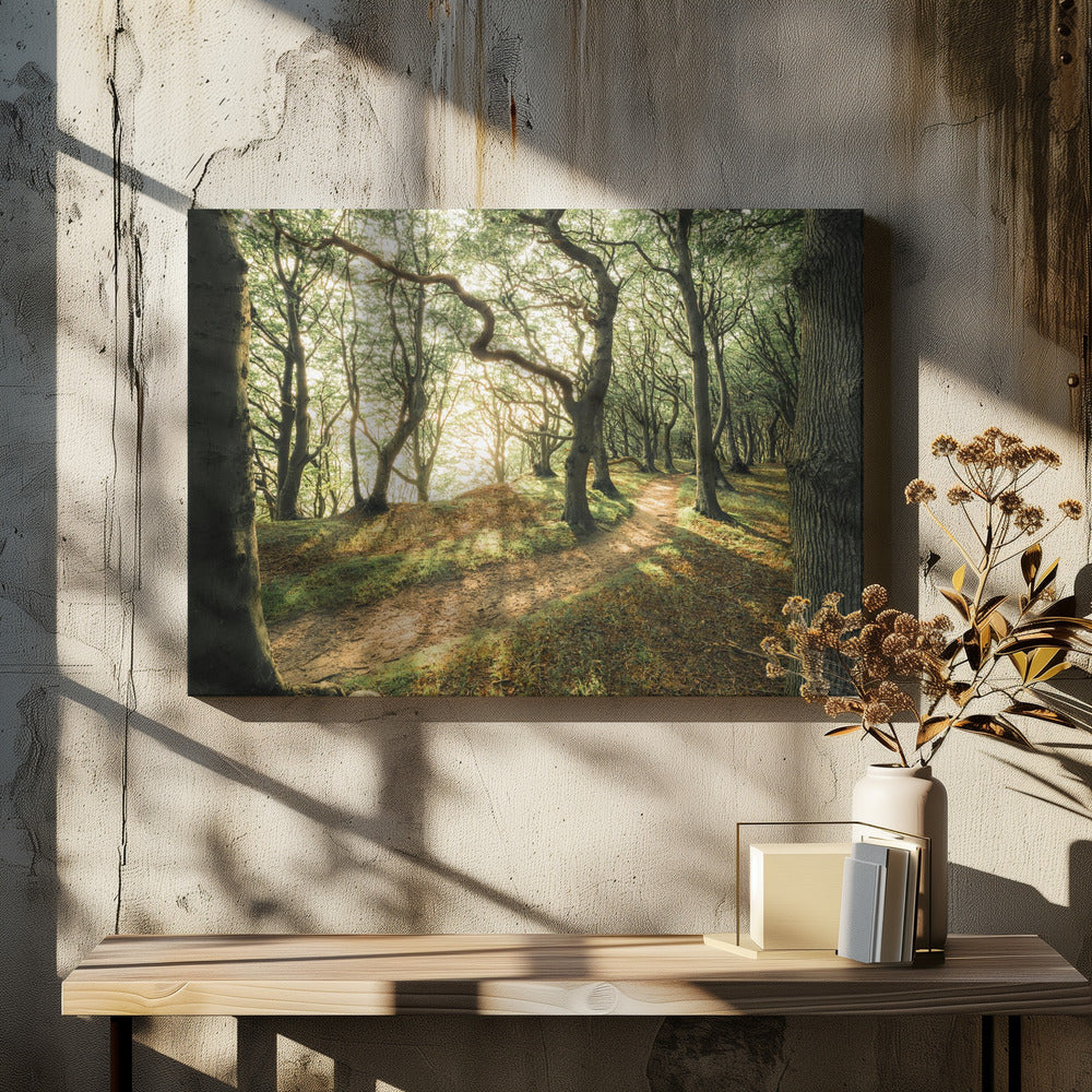 Magic Beech Wood | Canvas