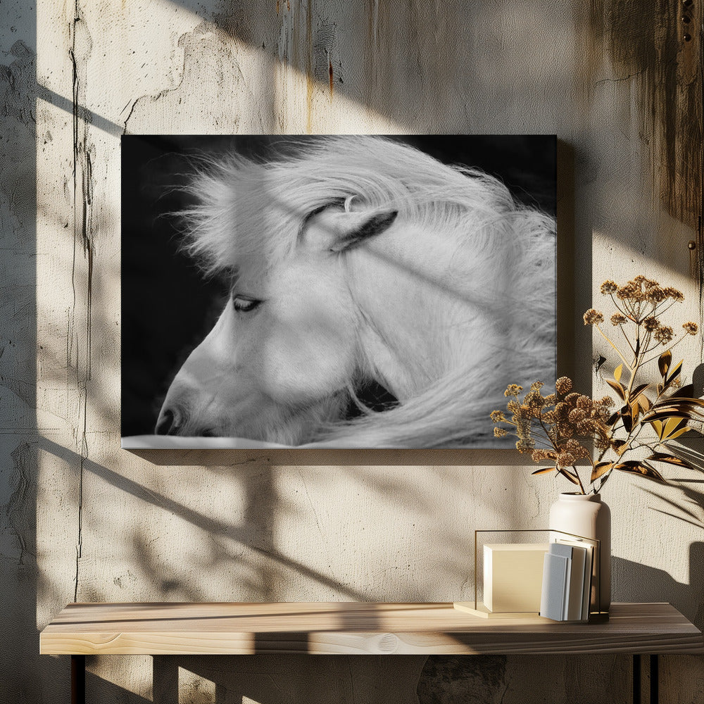 Listen to the Wind | Canvas