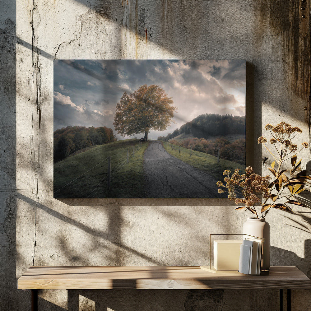 Time After Time | Canvas