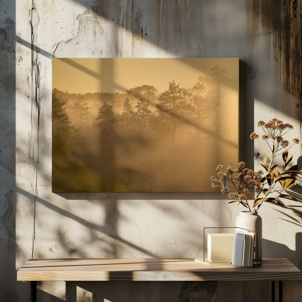 20220809 Dsf8002 1 | Canvas