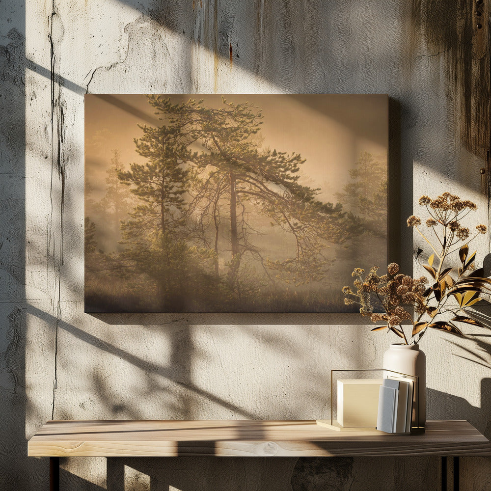 20220809 Dsf8003 1 | Canvas