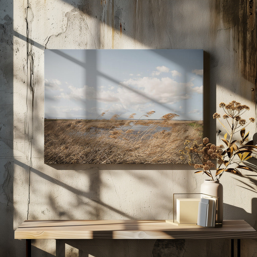Marshland No.6 | Canvas