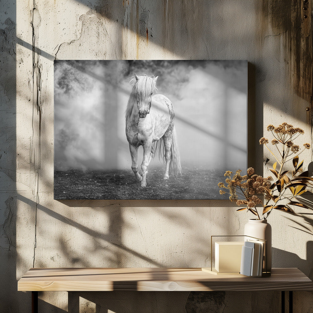 And there came a white horse | Canvas