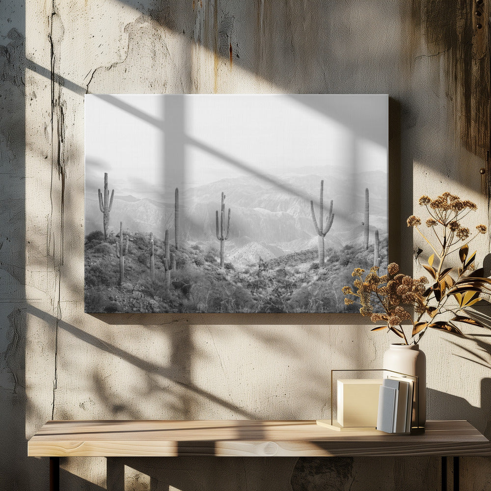 Western Cactus | Canvas