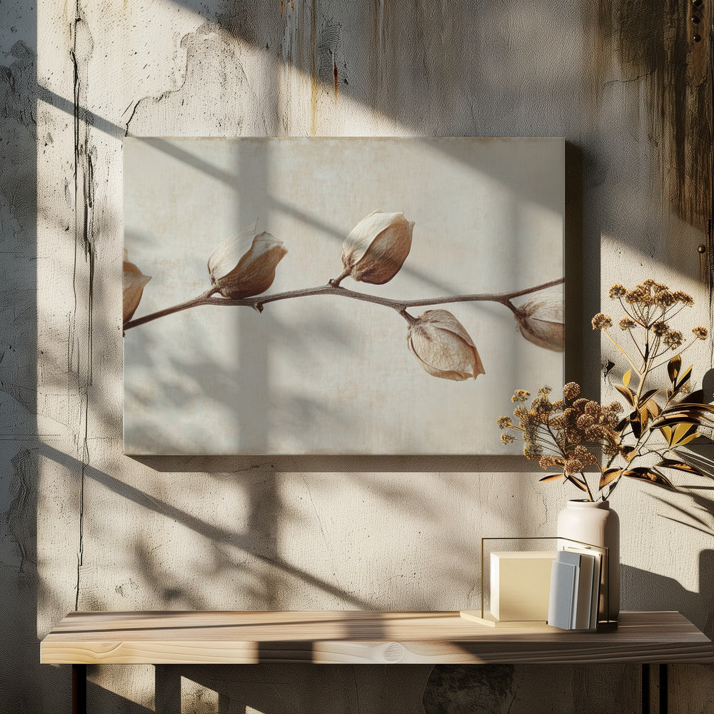 Faded Elegance | Canvas