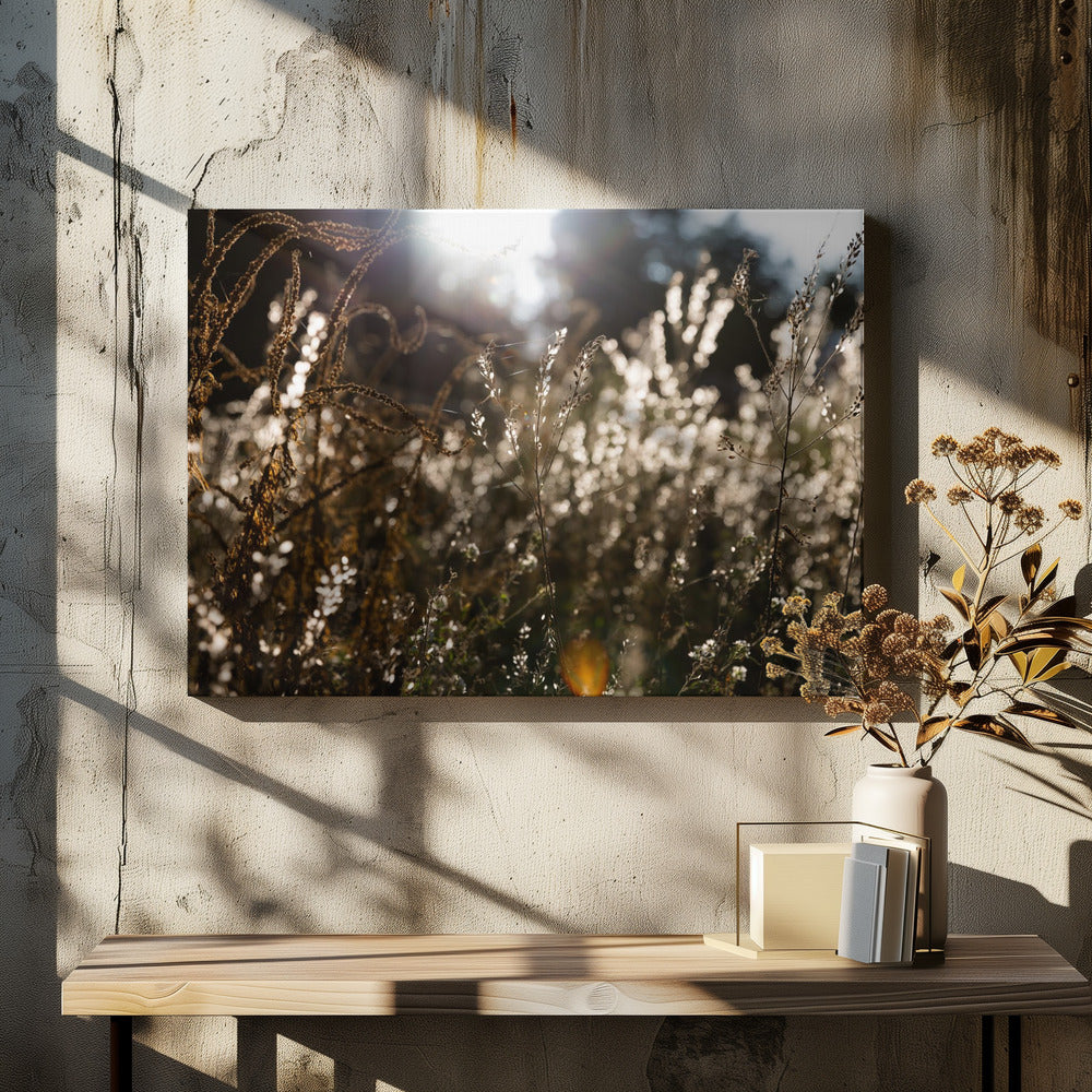 Warm Winter Light 7 | Canvas