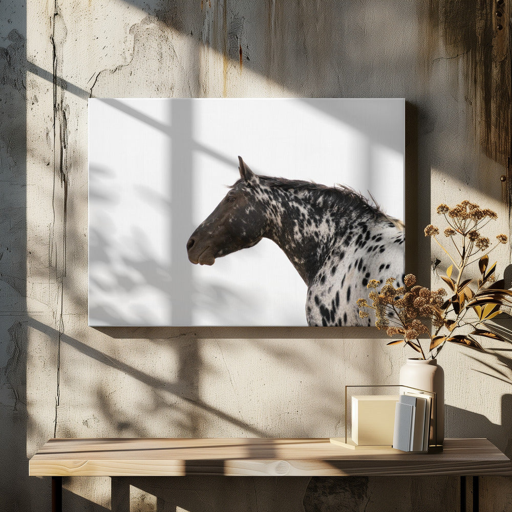 Andromeda 4 | Canvas