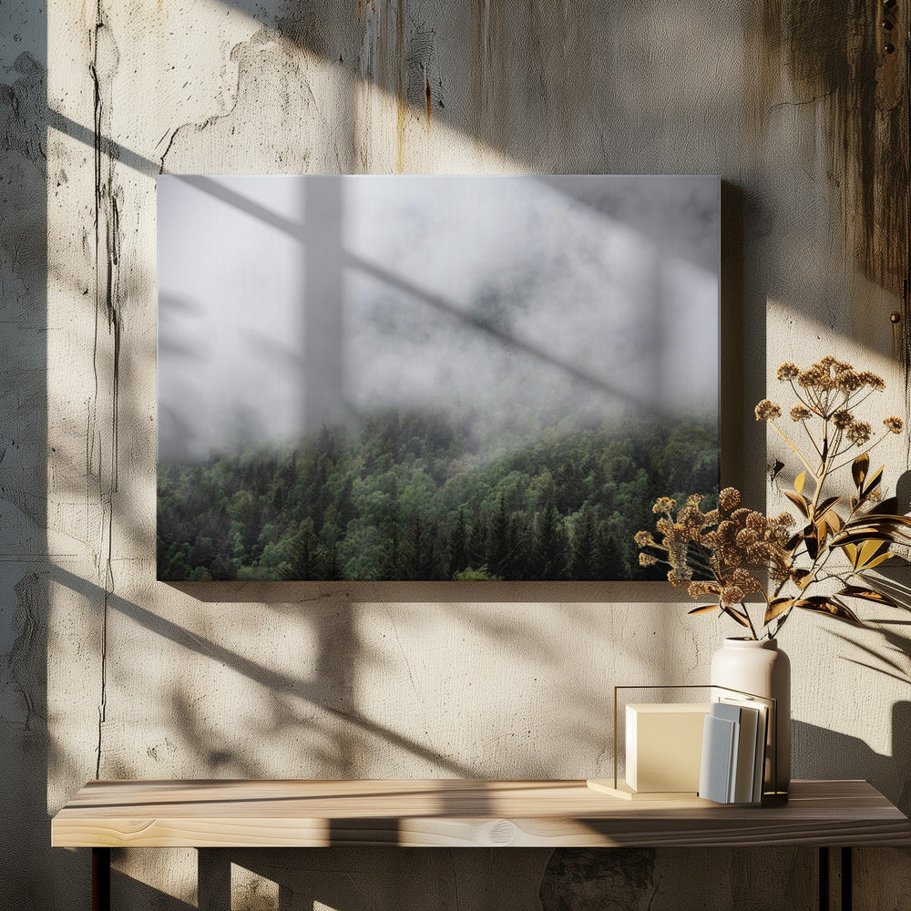 Somewhere In Norway 5 | Canvas