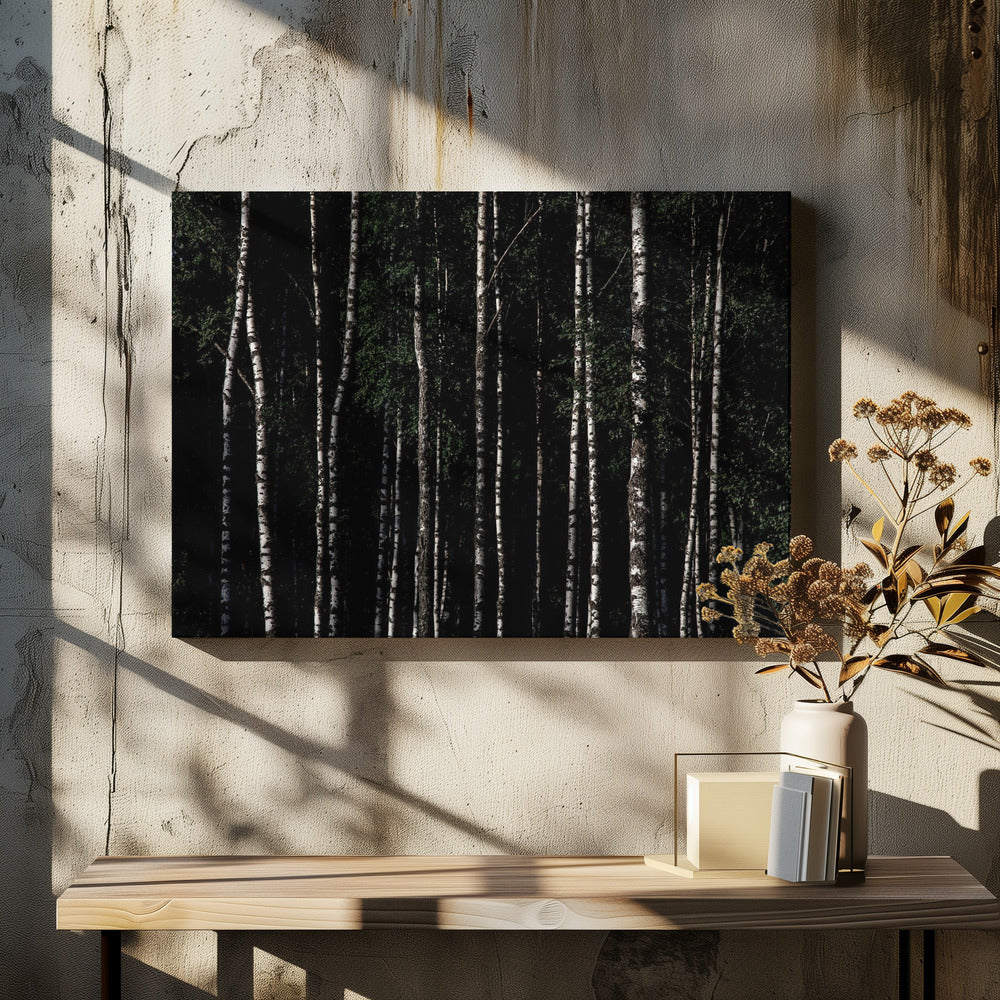 Somewhere In Sweden 4 | Canvas
