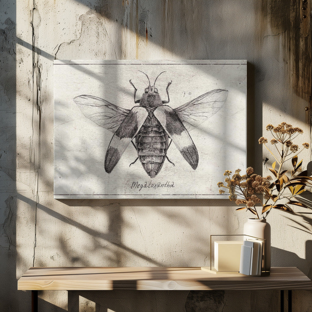 Intricate Insect Sketch | Canvas