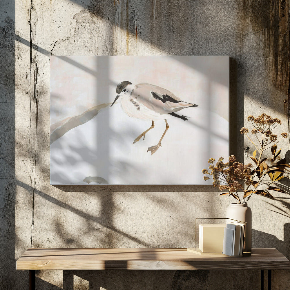Cute Shorebird | Canvas