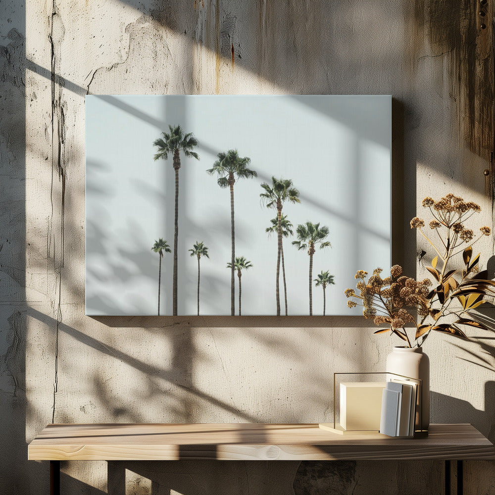 Cali Palms | Canvas