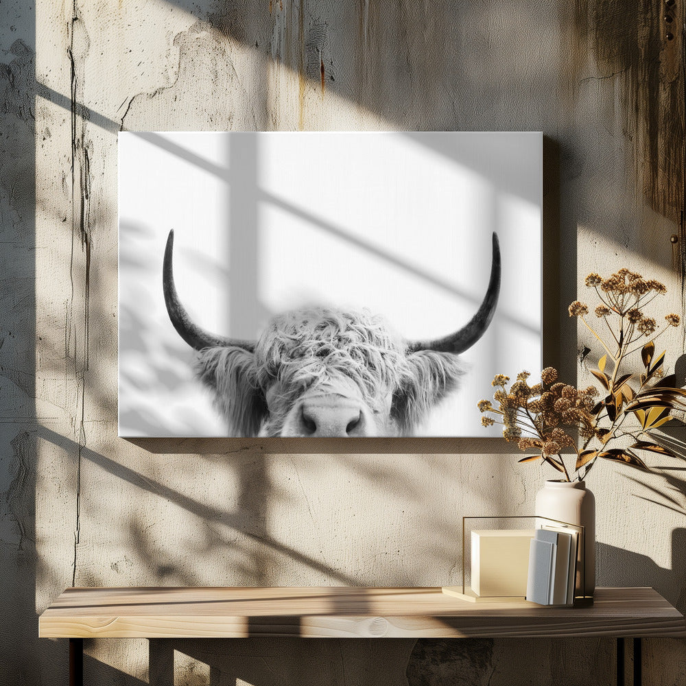Peeking Cow BW | Canvas
