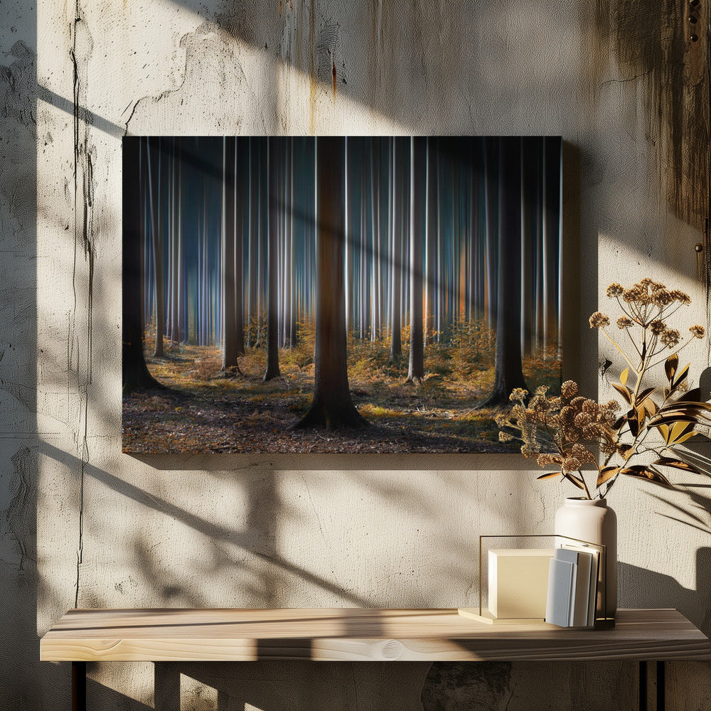 Mystic Wood | Canvas