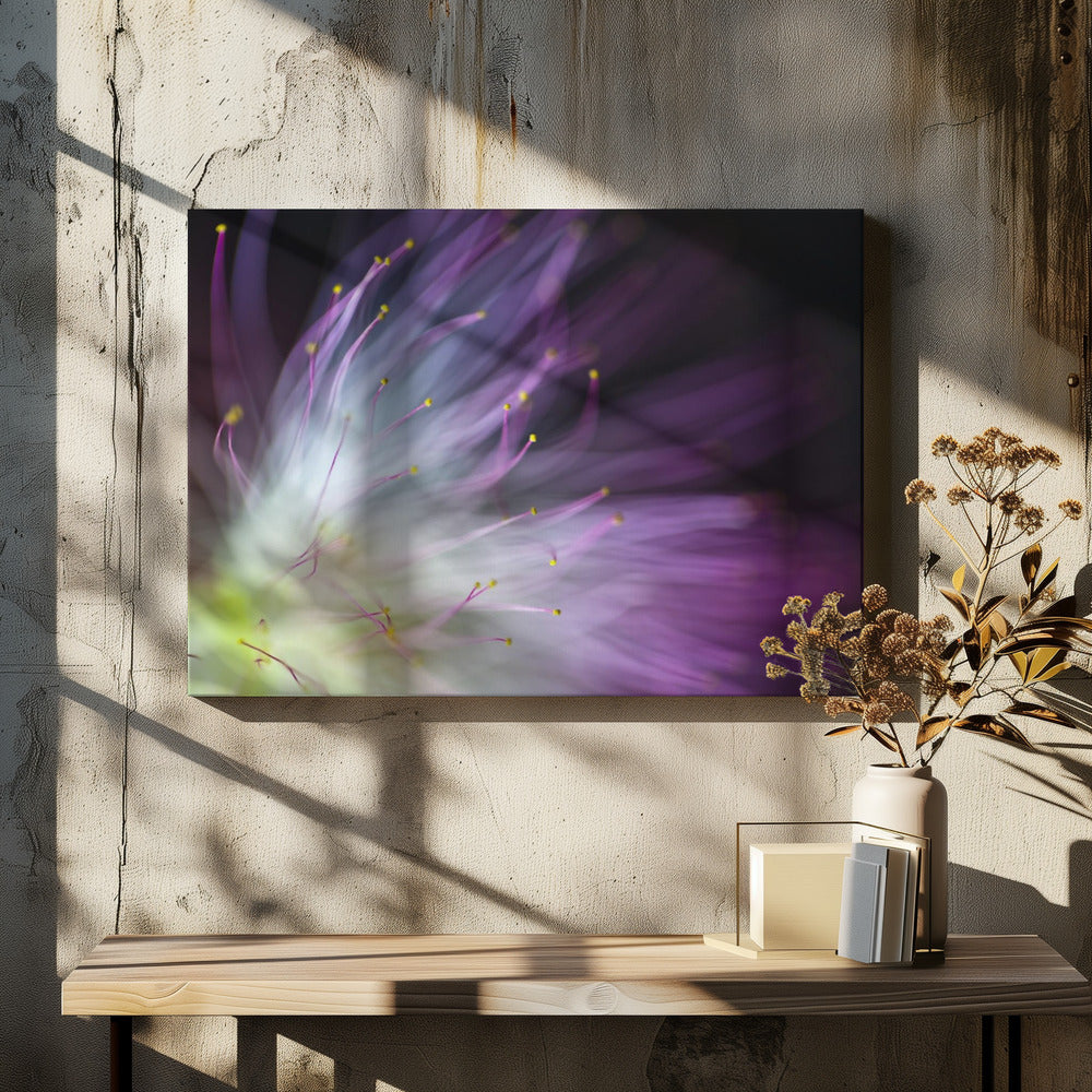The Will-o-the-Wisp | Canvas