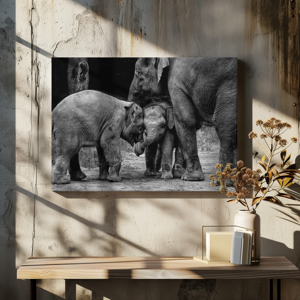 Friends Forever | Canvas